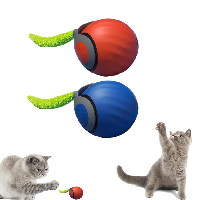 9055